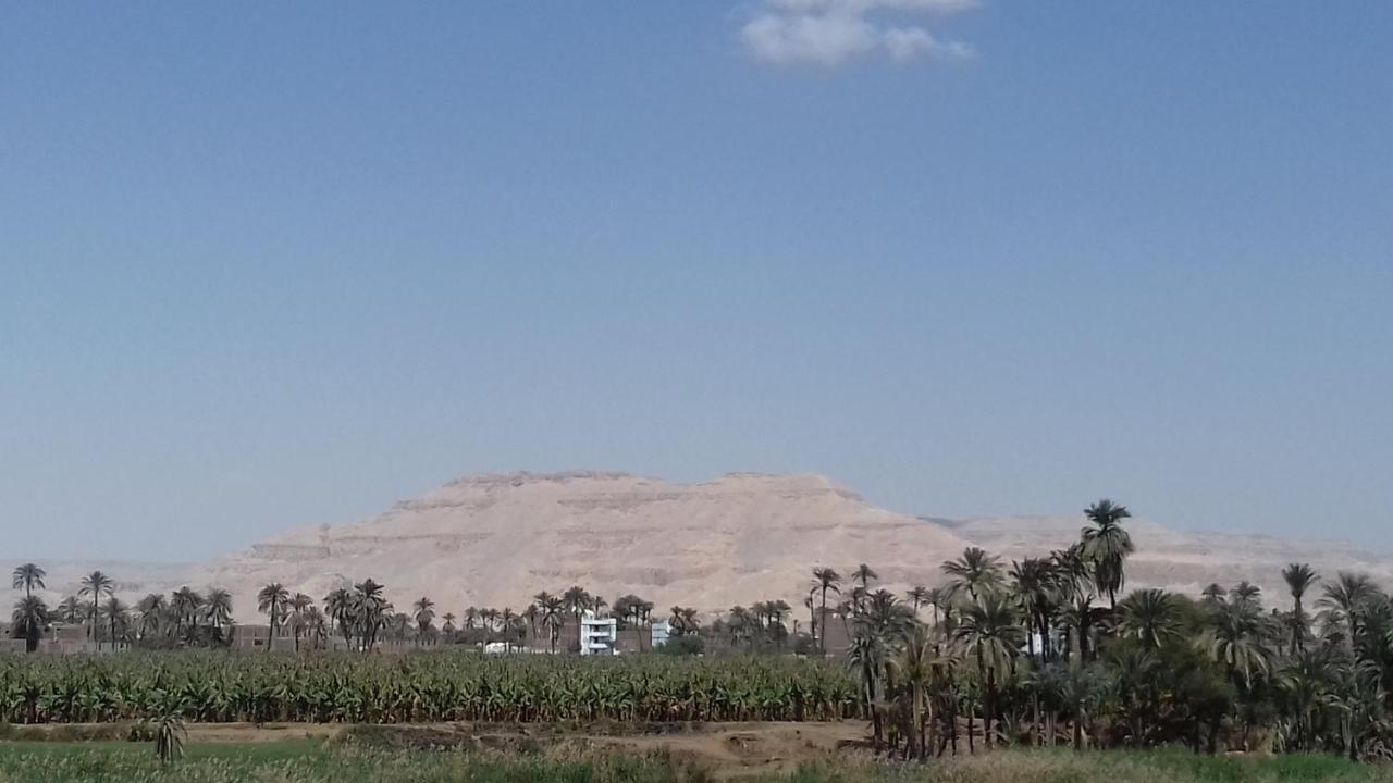 Memnoun House بيت خشبي